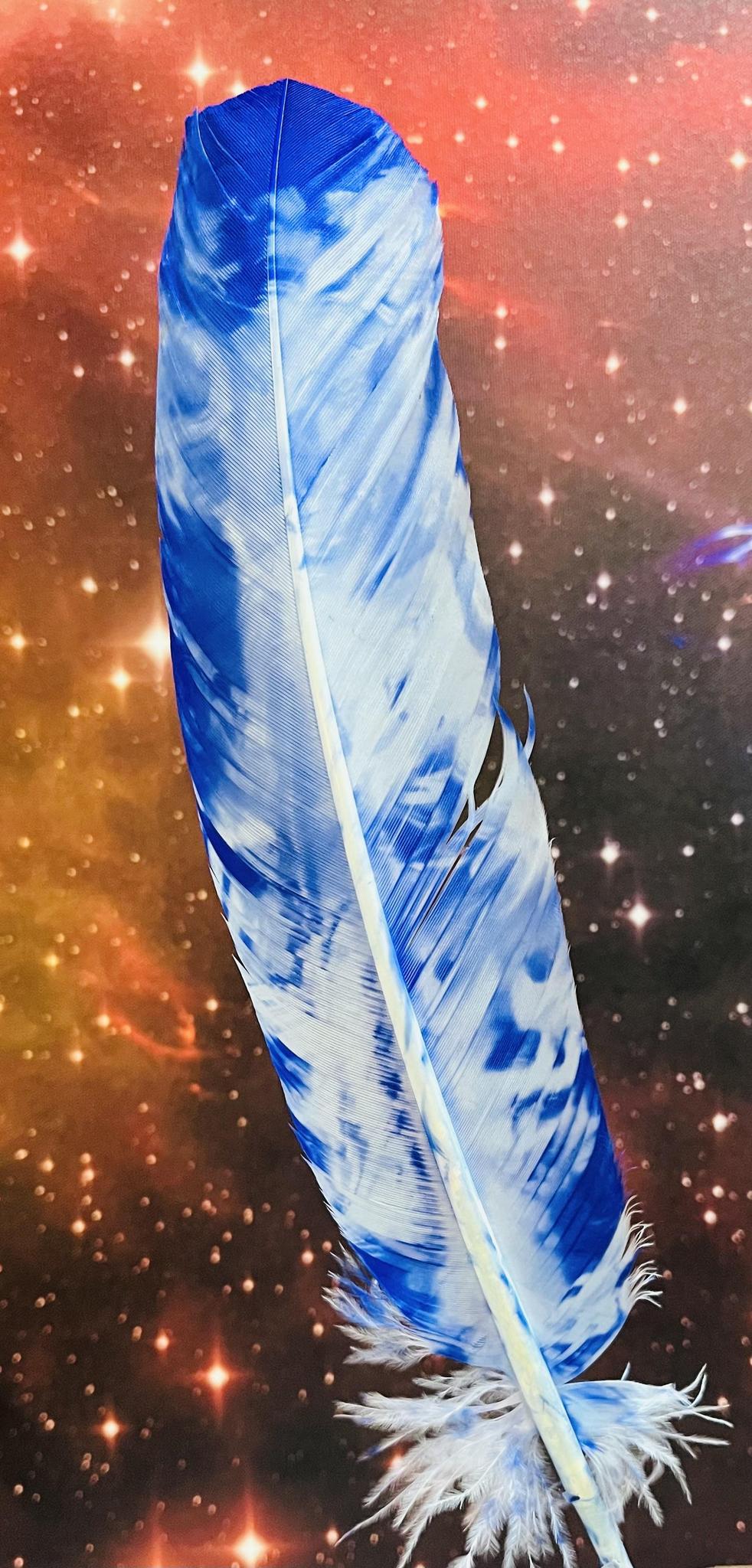Tie-Dye Feather (10-12")